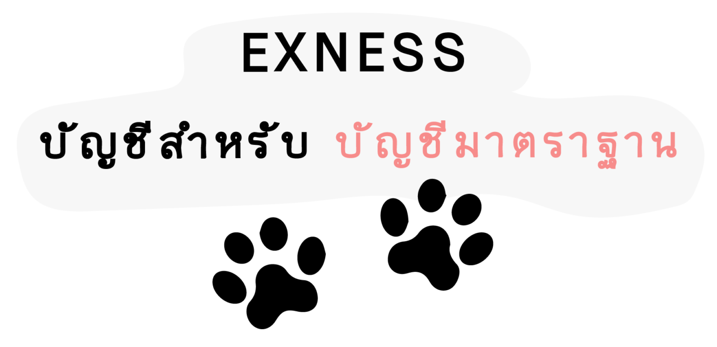ประเภทบัญชี Exness