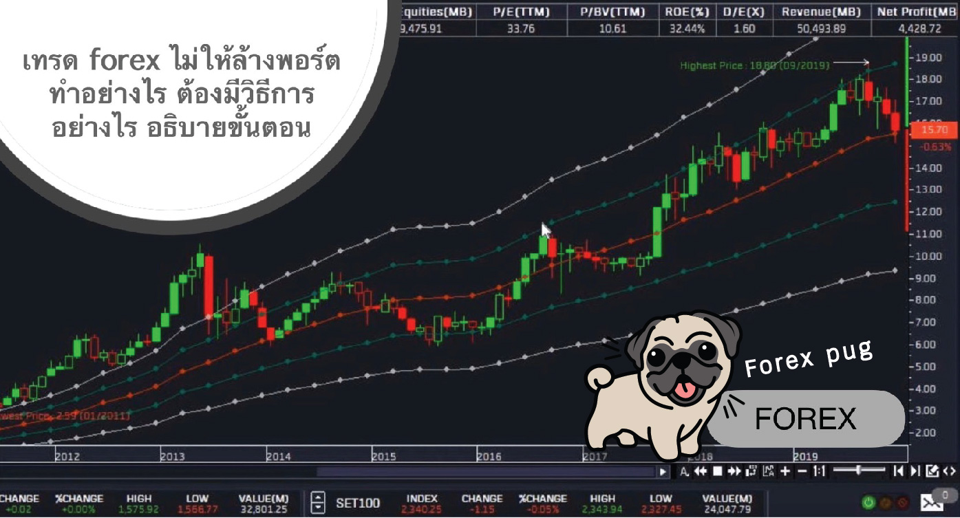 เทรด forex ไม่ให้ล้างพอร์ต ทำอย่างไร ต้องมีวิธีการอย่างไร อธิบายขั้นตอน เทรด forex ไม่ให้ล้างพอร์ต ทำอย่างไร ต้องมีวิธีการอย่างไร อธิบายขั้นตอน
