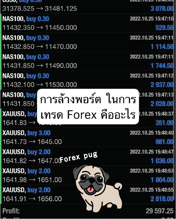 การล้างพอร์ต (Portfolio Wipeout) ในการเทรด Forex การล้างพอร์ต (Portfolio Wipeout) ในการเทรด Forex