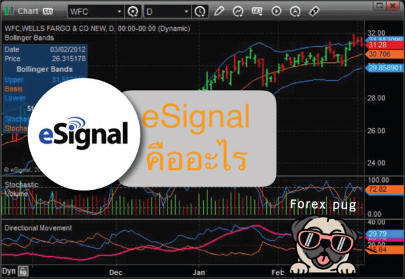 แพลตฟอร์ม esignal คืออะไร แพลตฟอร์ม esignal คืออะไร