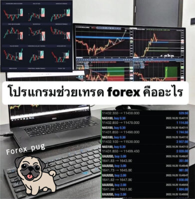 โปรแกรมช่วยเทรด forex ฟรี คืออะไร โปรแกรมช่วยเทรด forex ฟรี คืออะไร