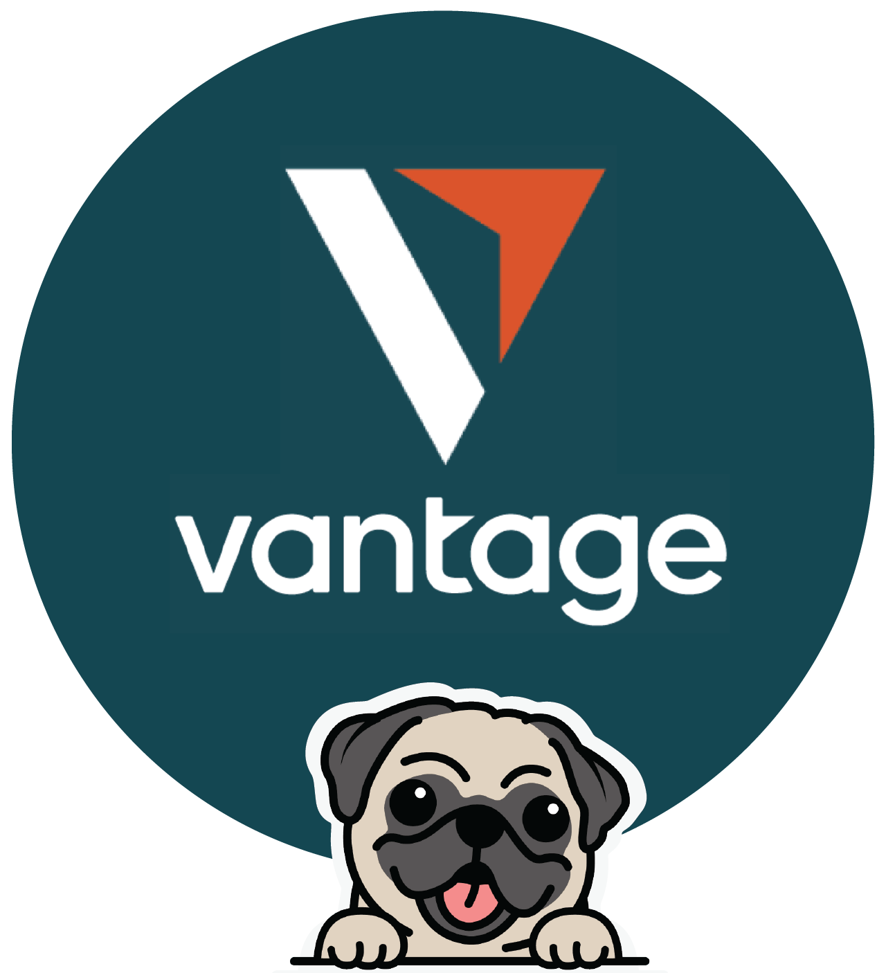 logo Vantage logo Vantage